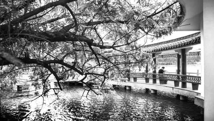 龍湖黑白影像－－心中的美篇