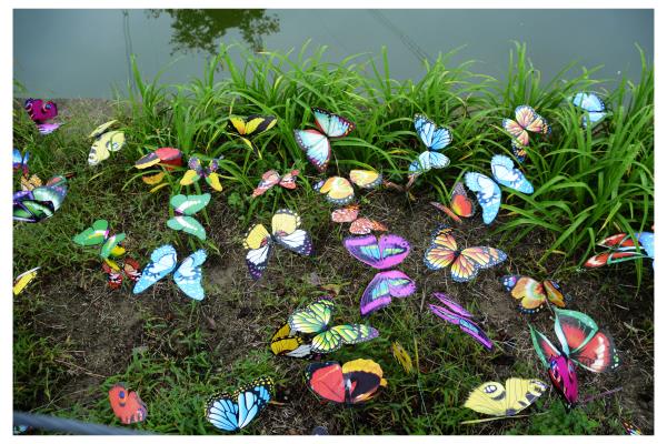 淮南蝴蝶谷游覽隨拍