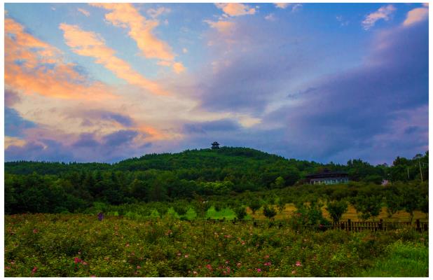 舜耕山風(fēng)光