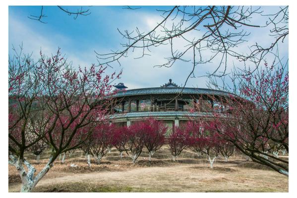 滿園錦繡又一春