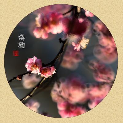 春梅韻在圈圈中