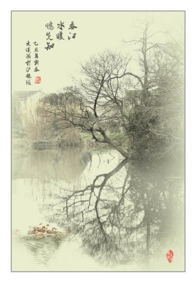 春江水暖鴨先知