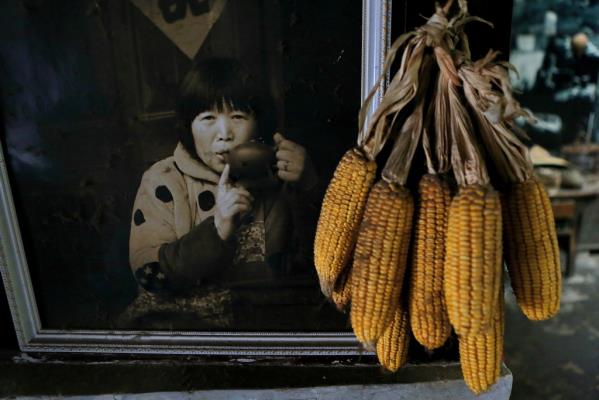 古鎮(zhèn)·老茶館·風(fēng)情