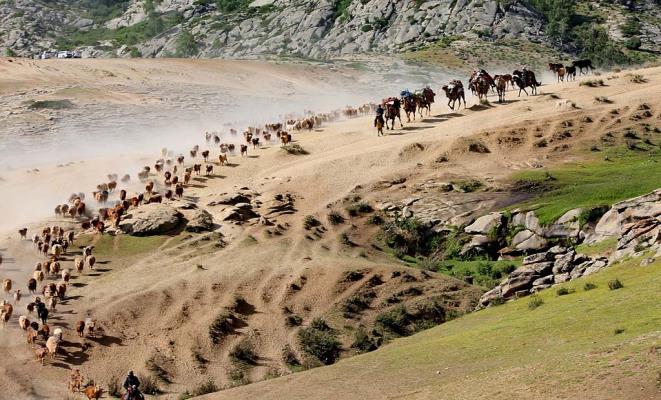 氣勢恢宏大遷徒