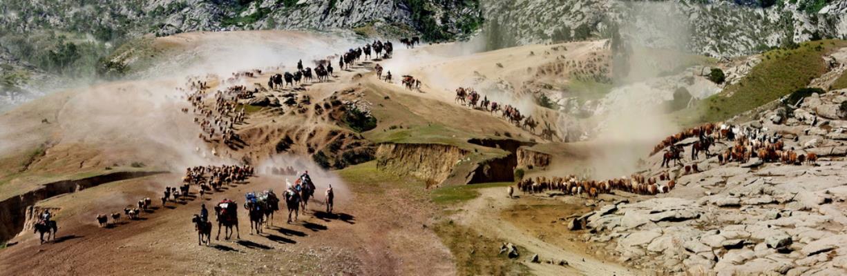 塵煙又染古牧道