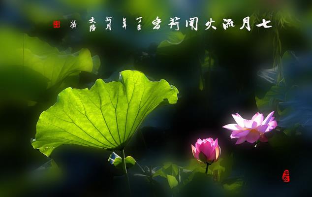 七月流火聞荷香