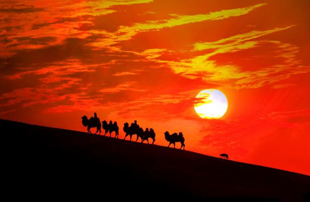 落日.大漠.駝?dòng)? title=