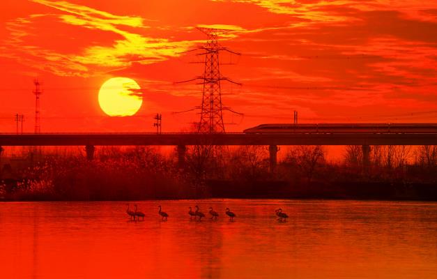 高鐵馳過淮南天鵝湖