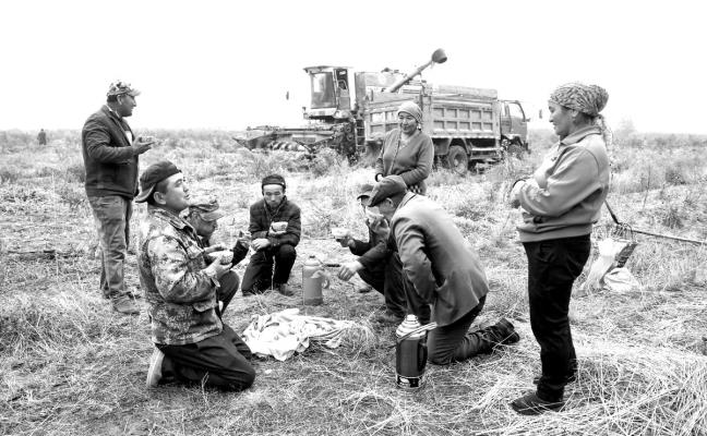 田間地頭班中餐