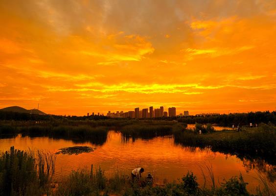 “煙花”送來火燒云