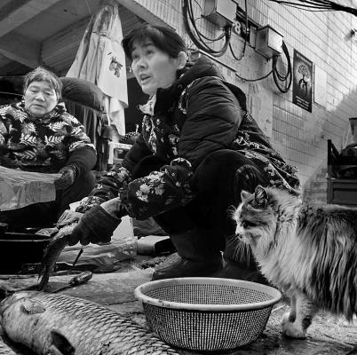 生活·市井·煙火間：老街魚市