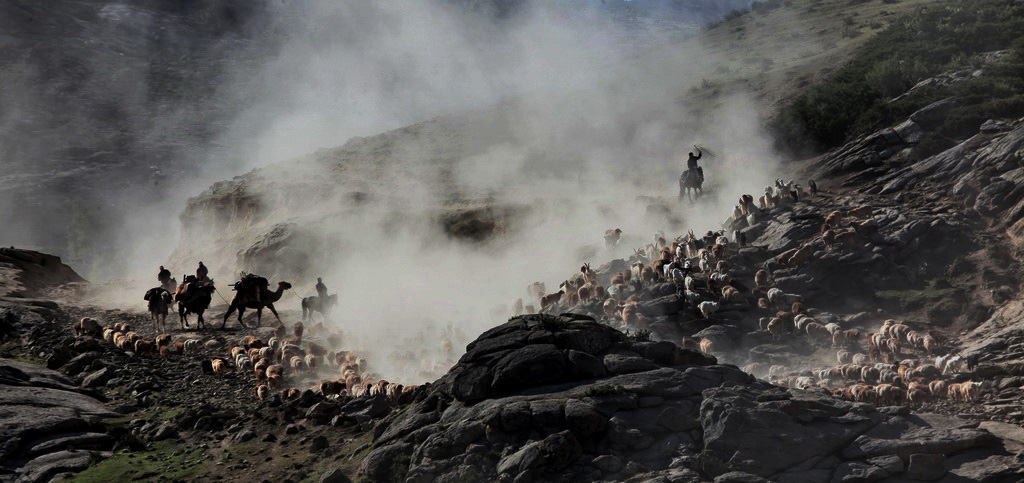 00IMG_3353_全景圖0_調整大小 - 副本 (2).jpg