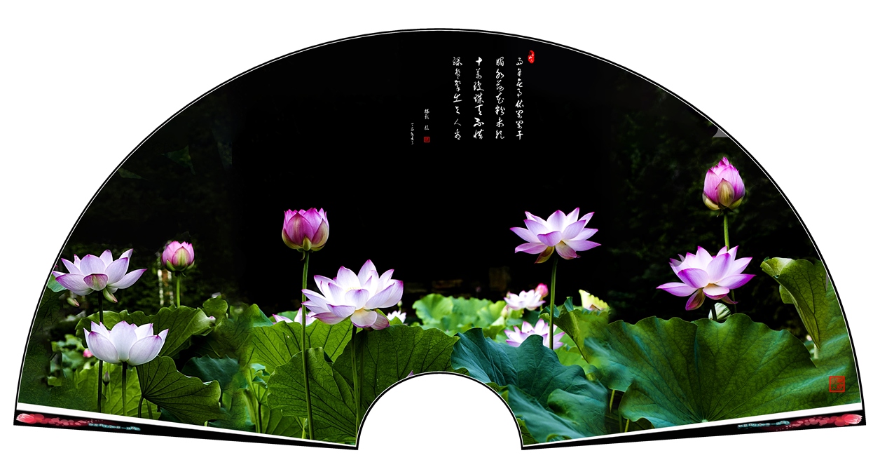 荷韻.jpg