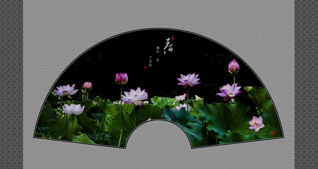 扇面荷花.jpg