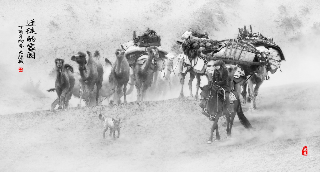 A17A8549 - 副本 - 副本 (2)_調整大小.JPG