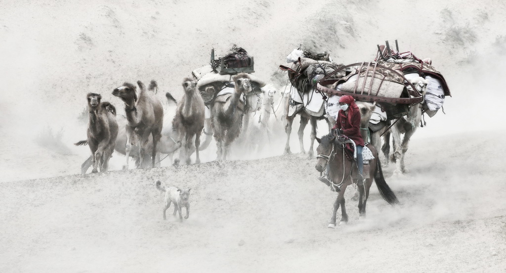 01 A17A8549 - 副本-2_調整大小.jpg