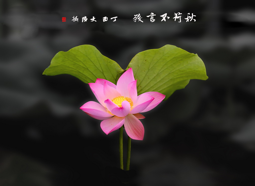 A17A0595 - 副本_調整大小.JPG