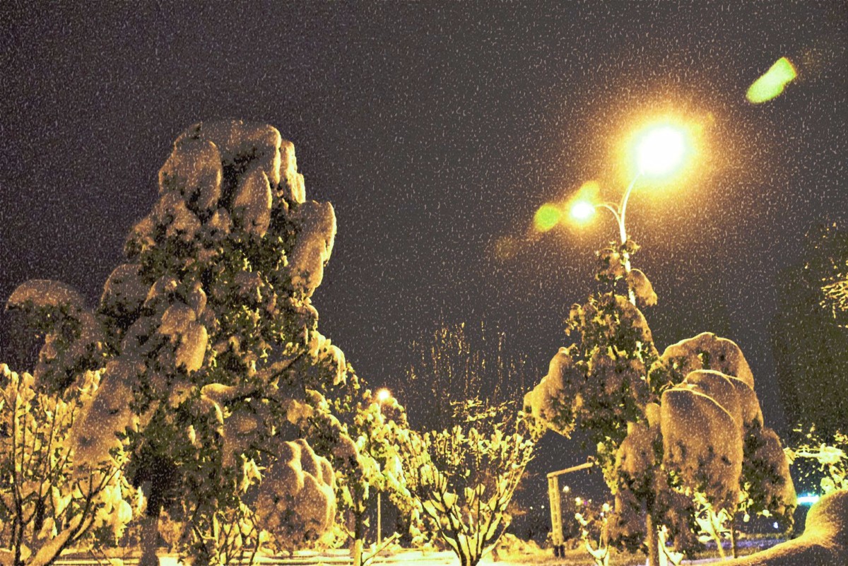 DSC_0004副本_副本.jpg DSC_0004副本_副本.jpg