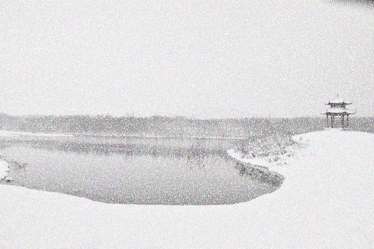 DSC_0017副本_副本.jpg DSC_0017副本_副本.jpg