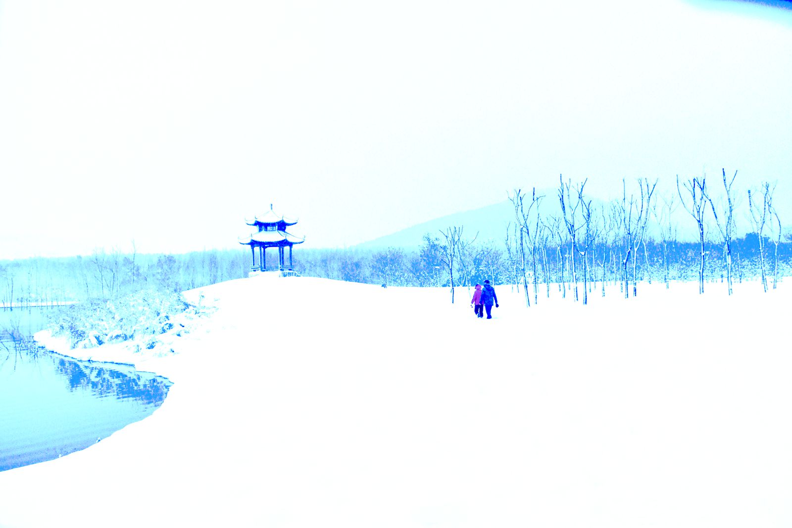 DSC_0020_副本.jpg DSC_0020_副本.jpg