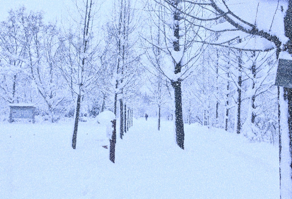 DSC_0055_副本.jpg DSC_0055_副本.jpg