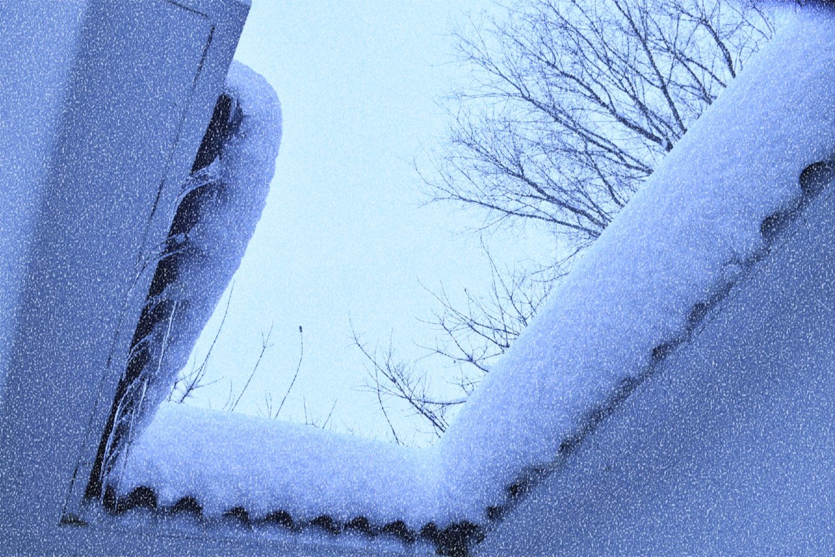 DSC_0082副本_副本.jpg DSC_0082副本_副本.jpg