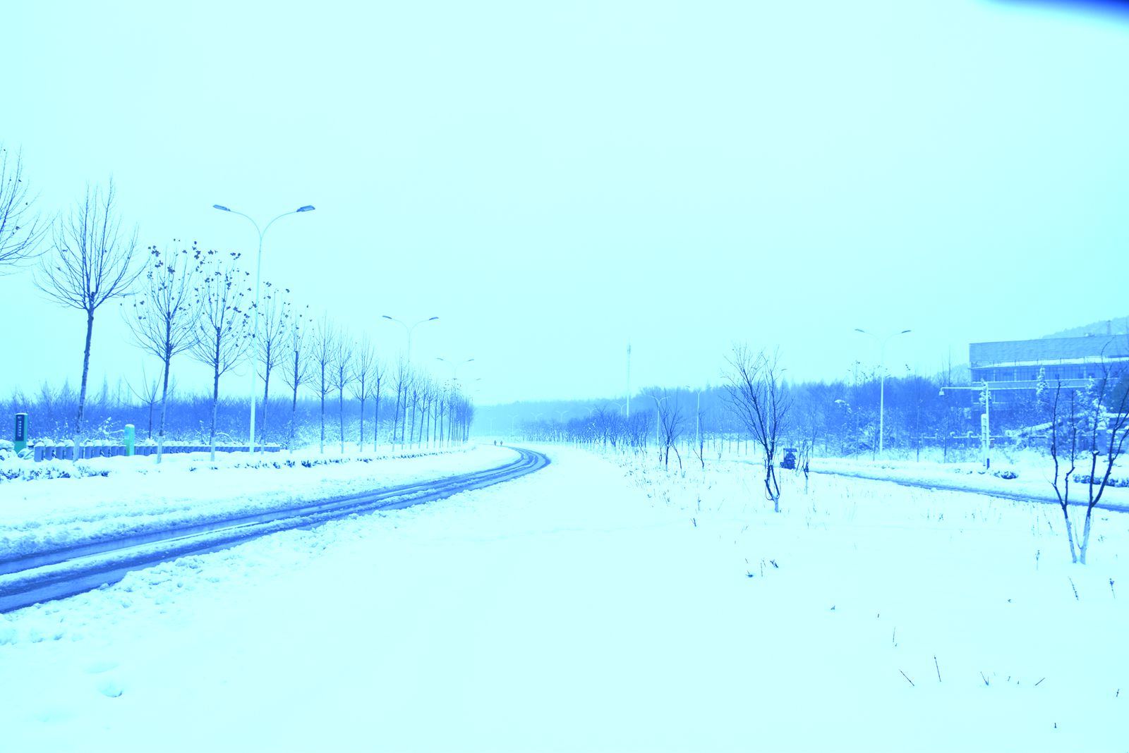 DSC_0100_副本.jpg DSC_0100_副本.jpg