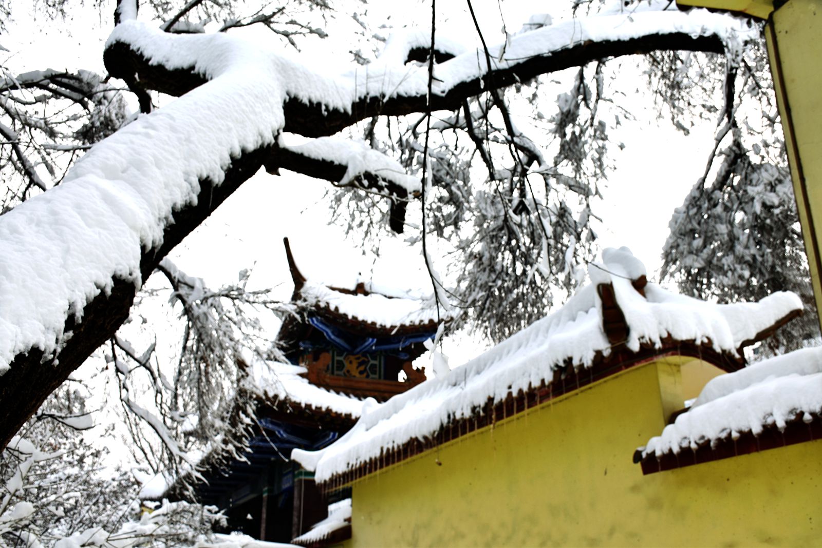 DSC_0176副本_副本.jpg DSC_0176副本_副本.jpg