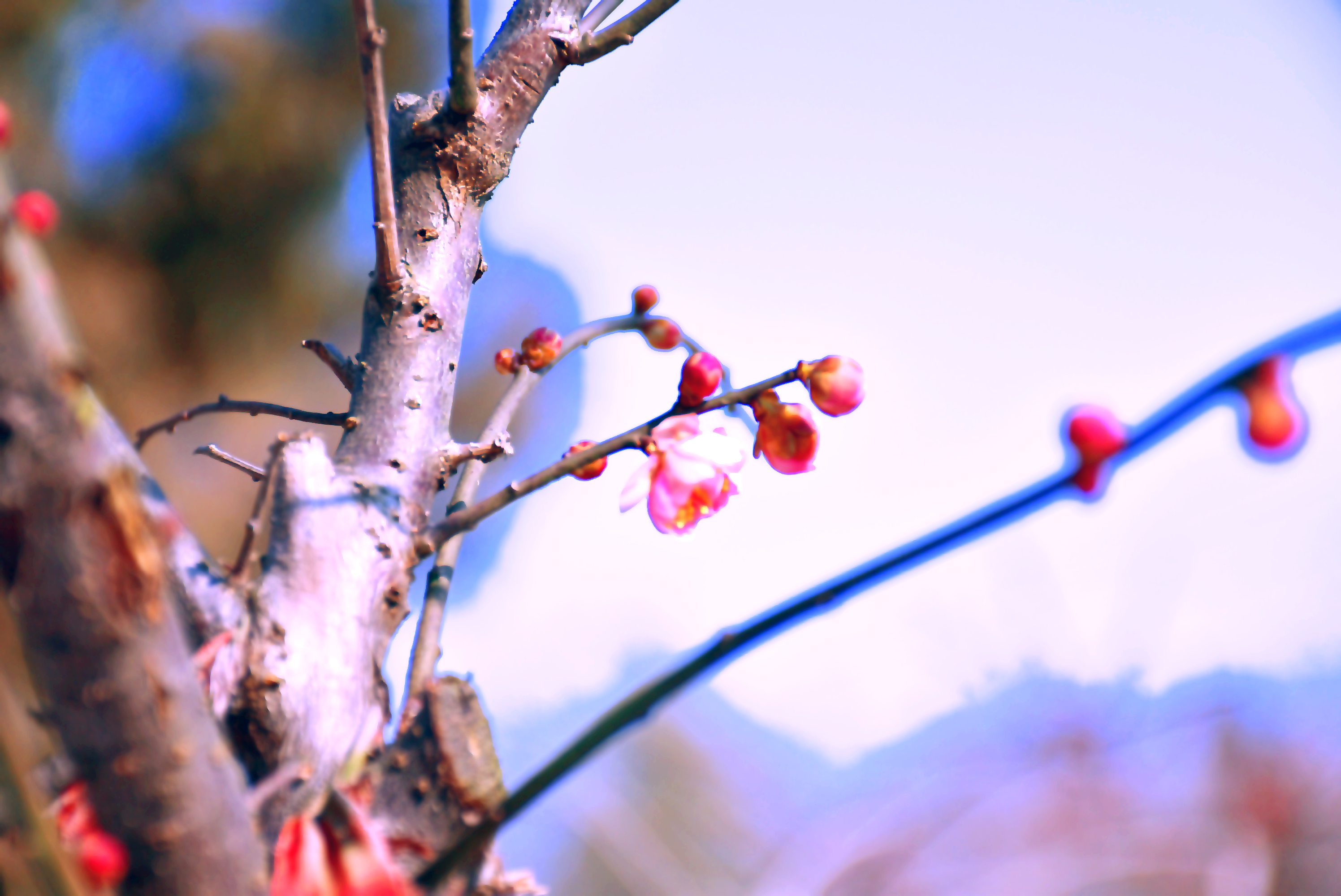 DSC_0025.png DSC_0025.png