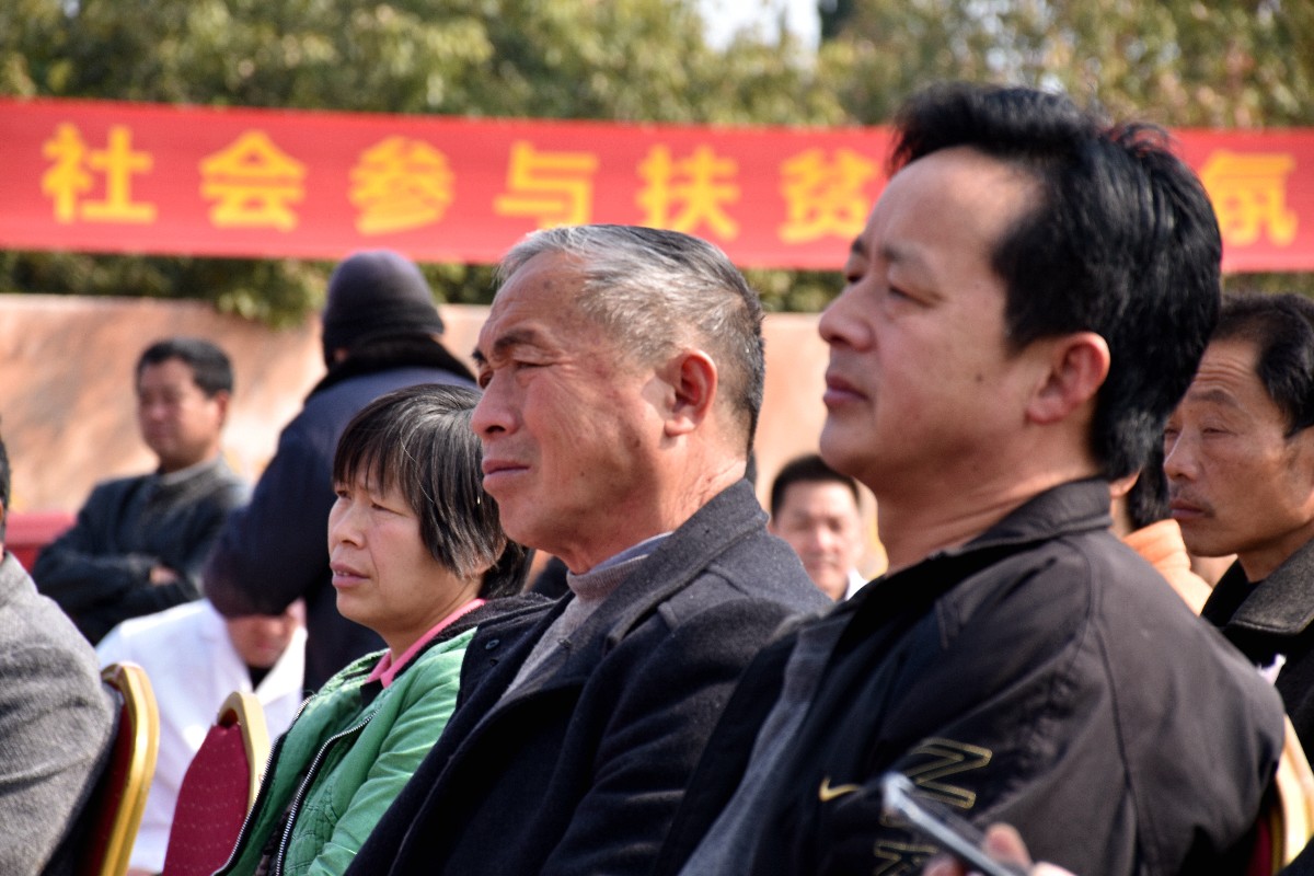 DSC_0037.JPG DSC_0037.JPG