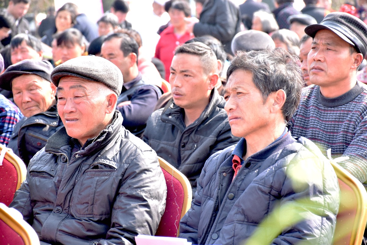 DSC_0056_副本.jpg DSC_0056_副本.jpg