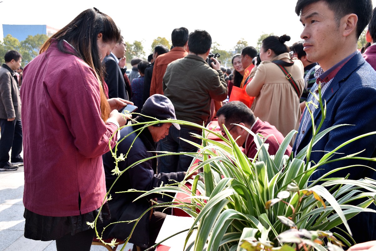 DSC_0068.JPG DSC_0068.JPG