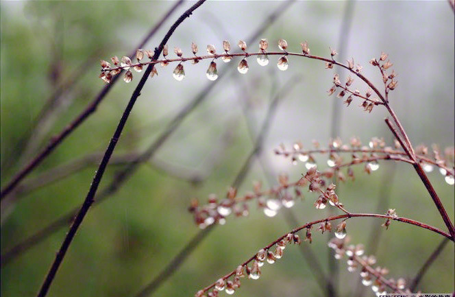 001mZ5N7zy6ReCxNROLe7_conew1.jpg 001mZ5N7zy6ReCxNROLe7_conew1.jpg