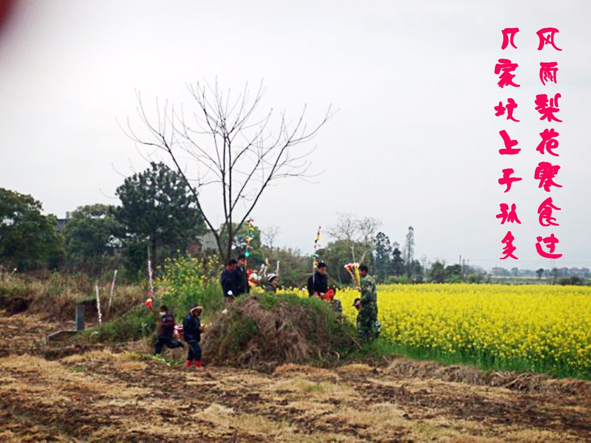 002AW38nzy70C1tdlht57&690.jpg 002AW38nzy70C1tdlht57&690.jpg