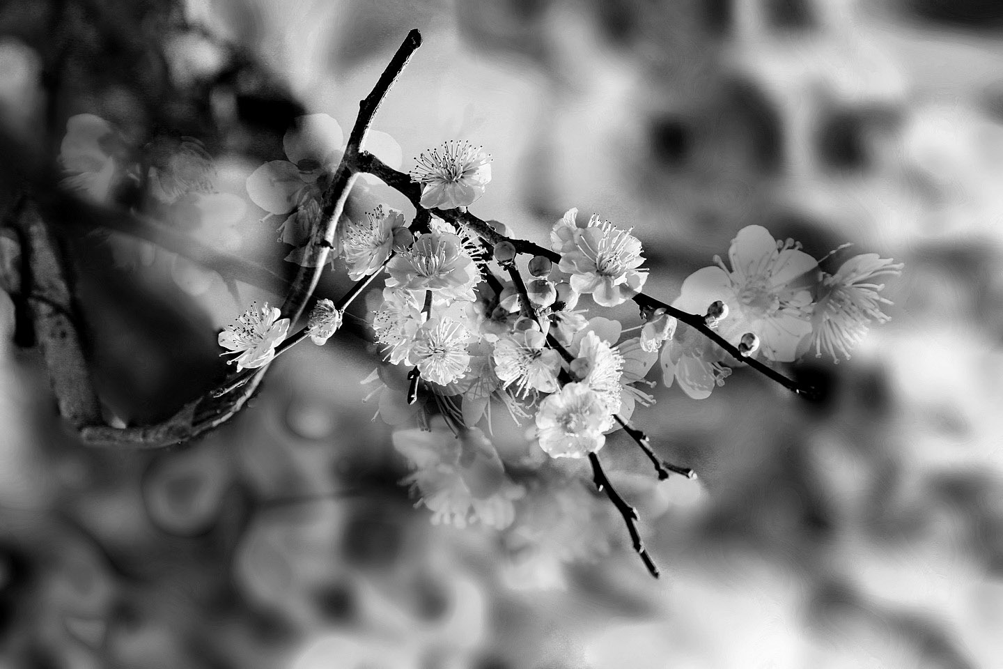 01IMG_4773-1_調整大小 - 副本.jpg