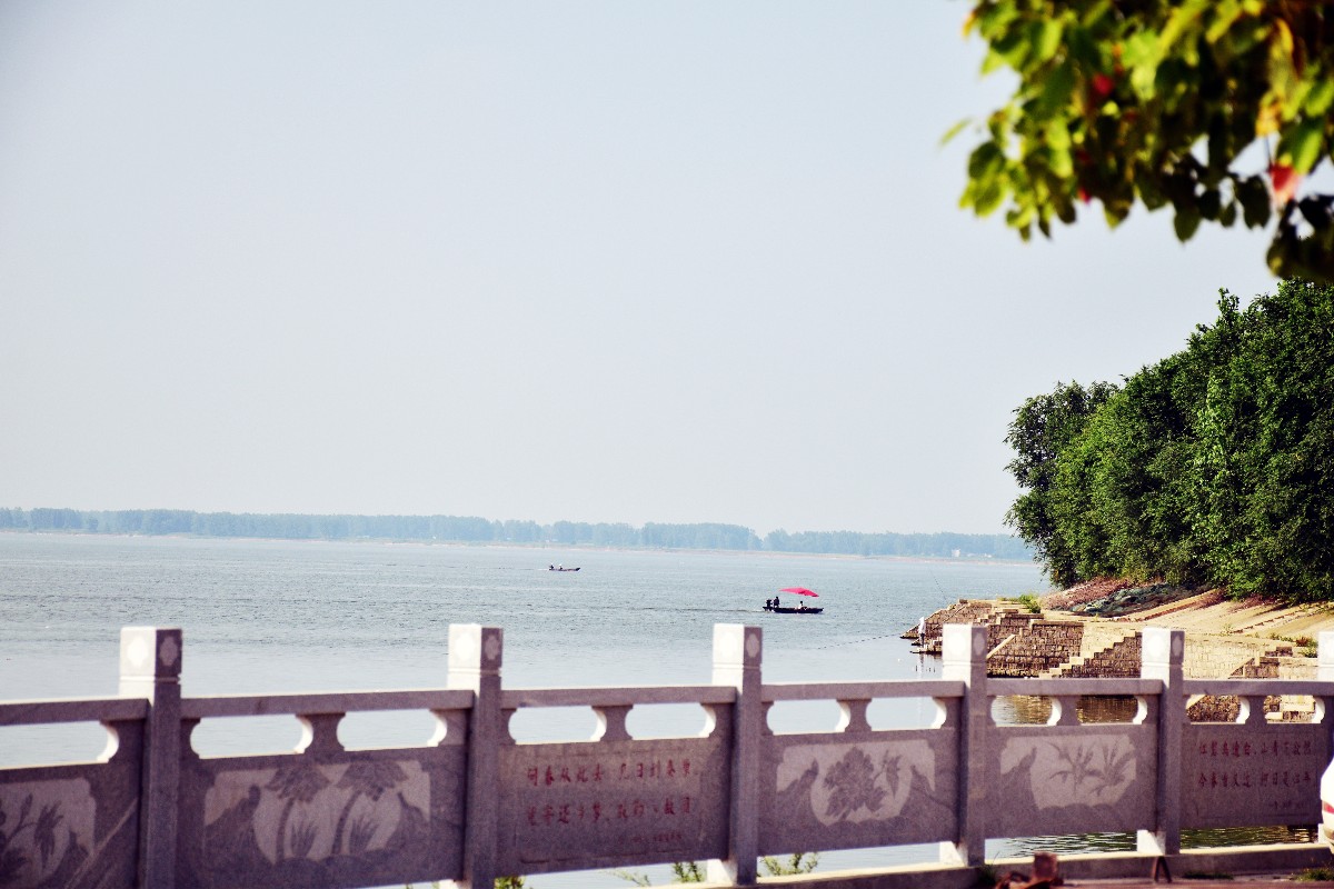 DSC_0950.JPG DSC_0950.JPG