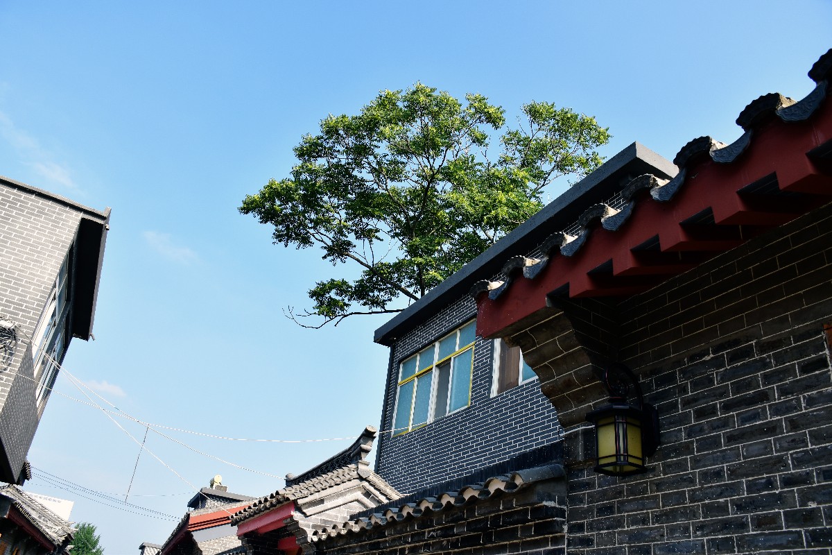 DSC_0960.JPG DSC_0960.JPG