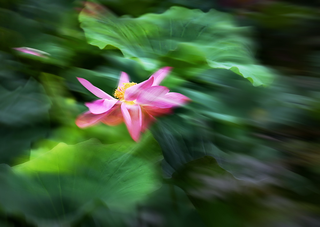 01IMG_5931 - 副本-1 - 副本_調整大小.JPG