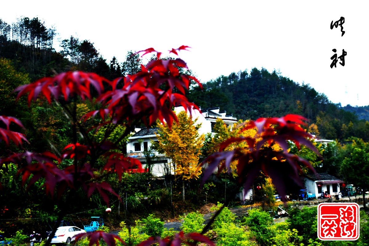 DSC_0224.JPG DSC_0224.JPG