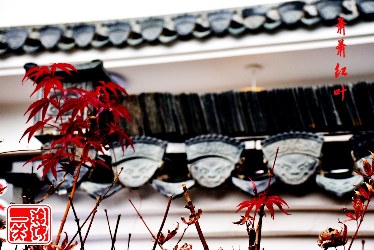 DSC_0221.JPG DSC_0221.JPG