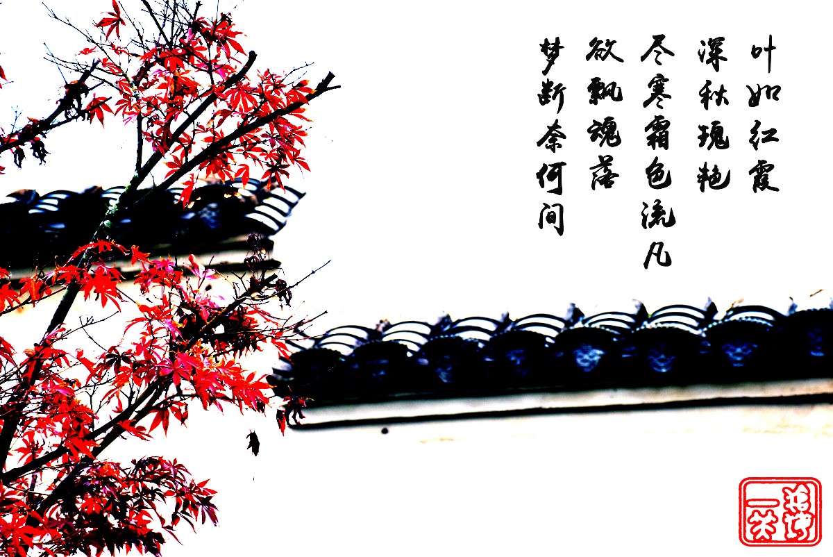 DSC_0305.JPG DSC_0305.JPG