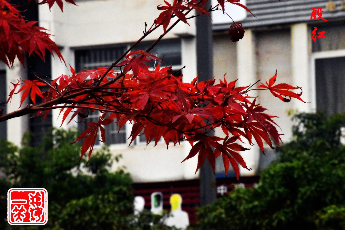 DSC_0331.JPG DSC_0331.JPG