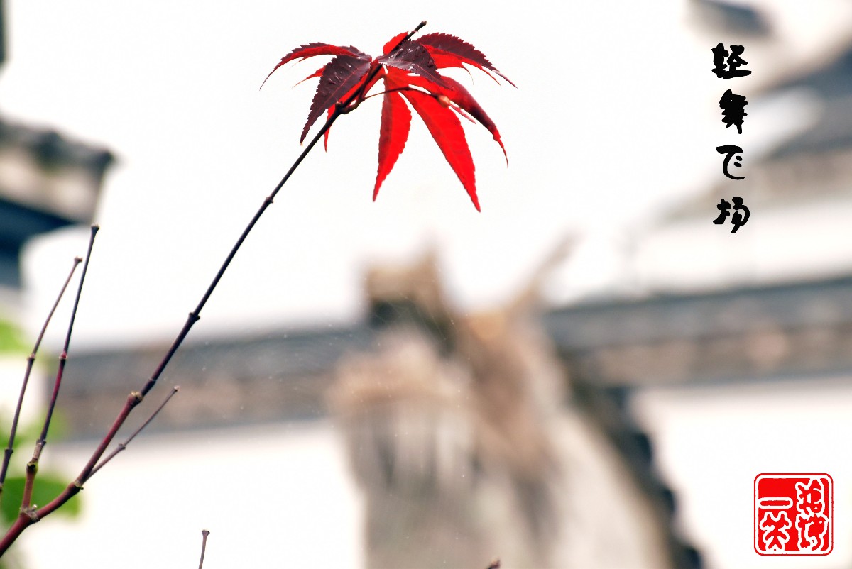 DSC_0434.JPG DSC_0434.JPG