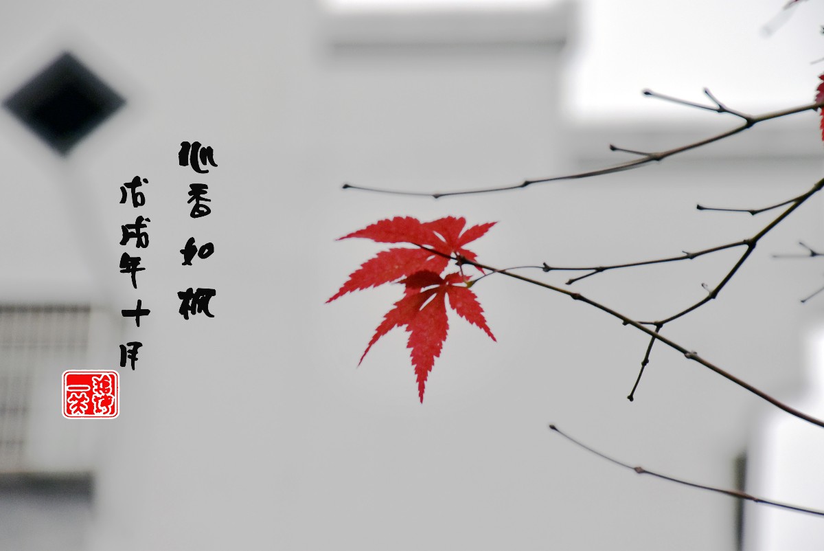 DSC_0638.JPG DSC_0638.JPG