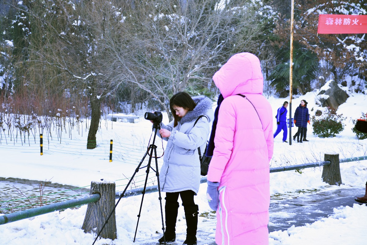 DSC_0603.JPG