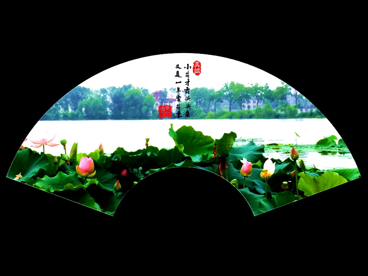 1693 (2)_副本_副本.jpg