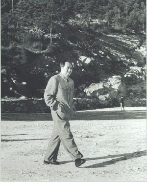 10.jpg 10.jpg