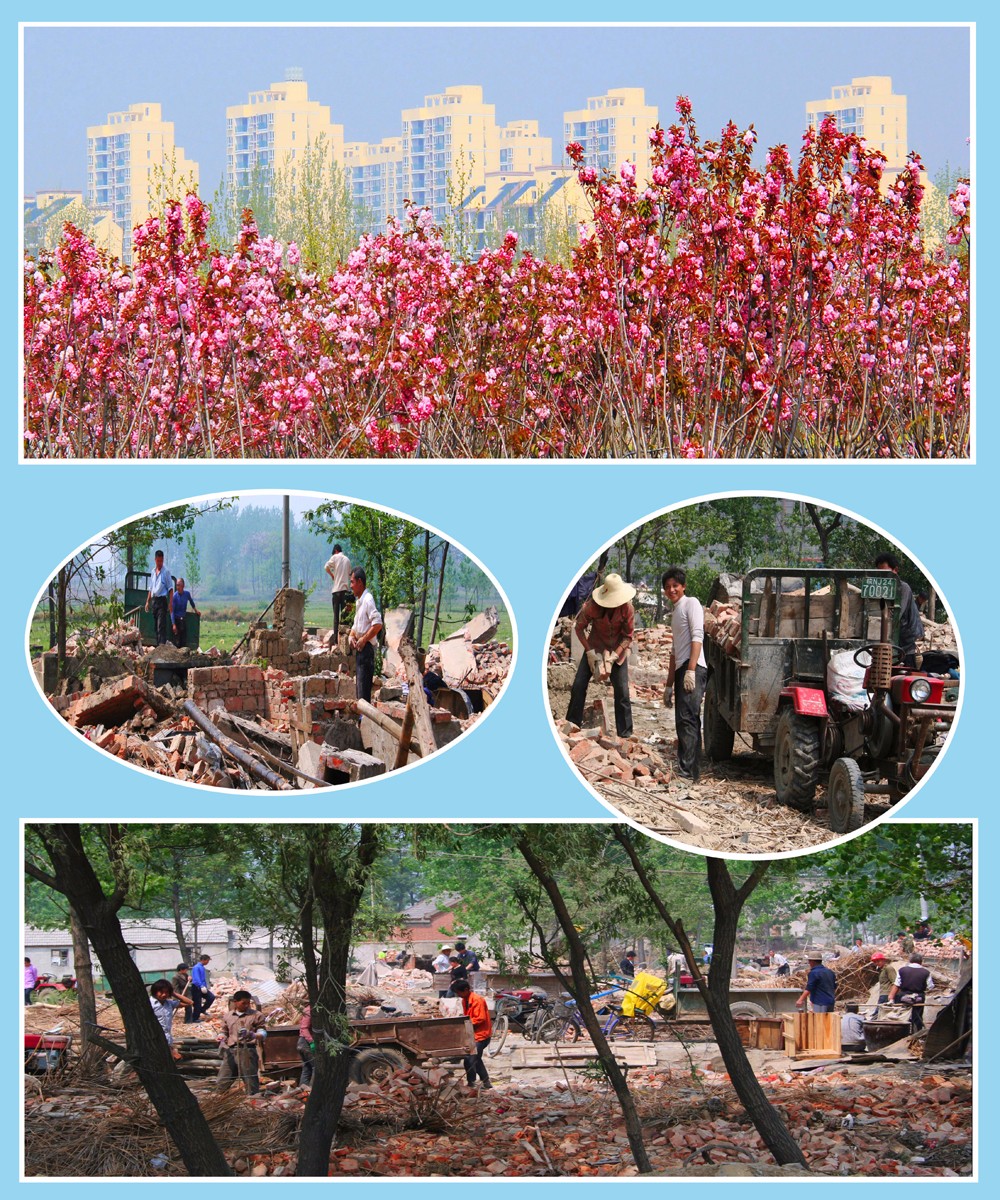 舊貌換新顏  徐金陵攝 13637116482.jpg