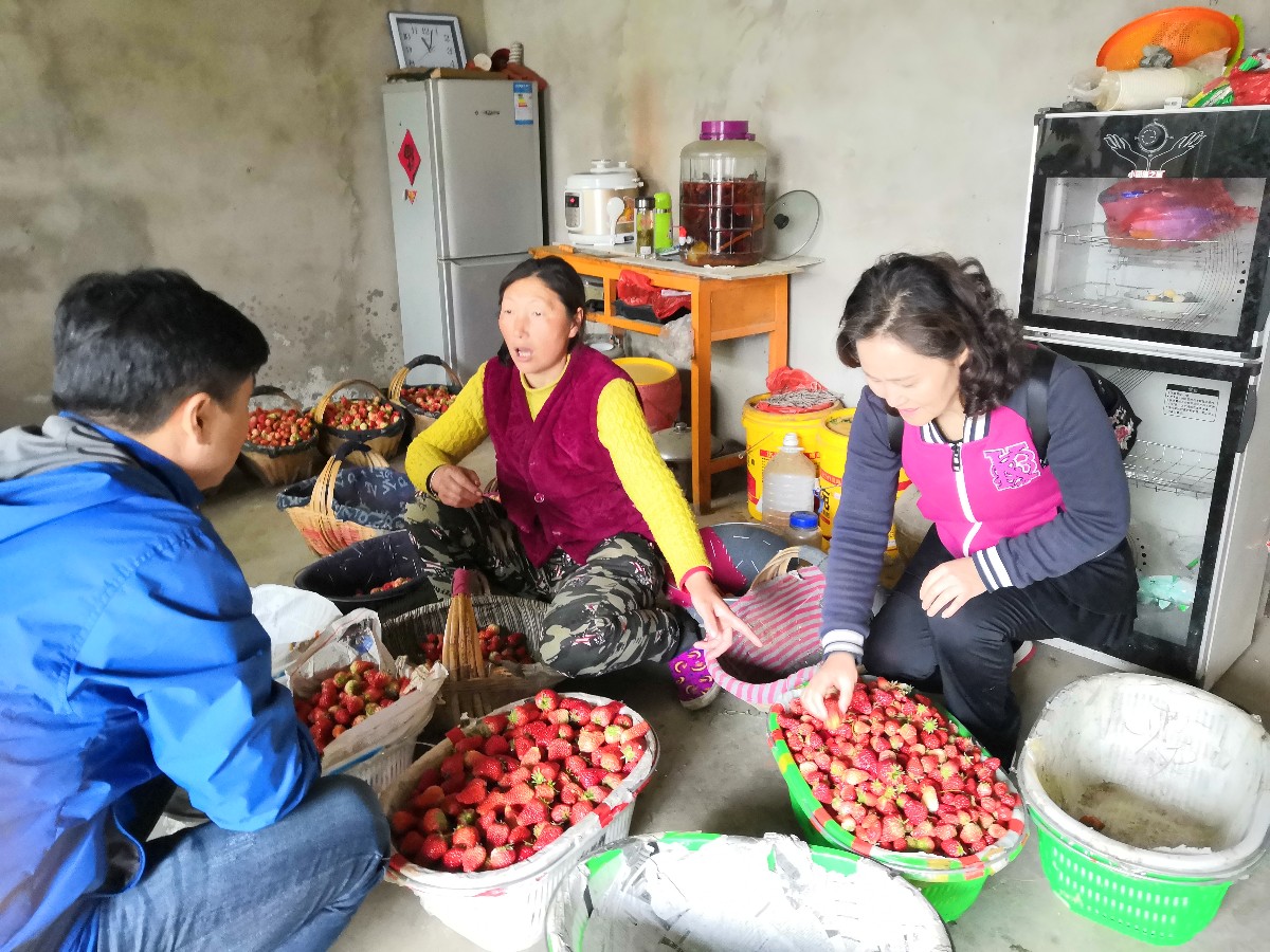 微信圖片_20190411221255.jpg