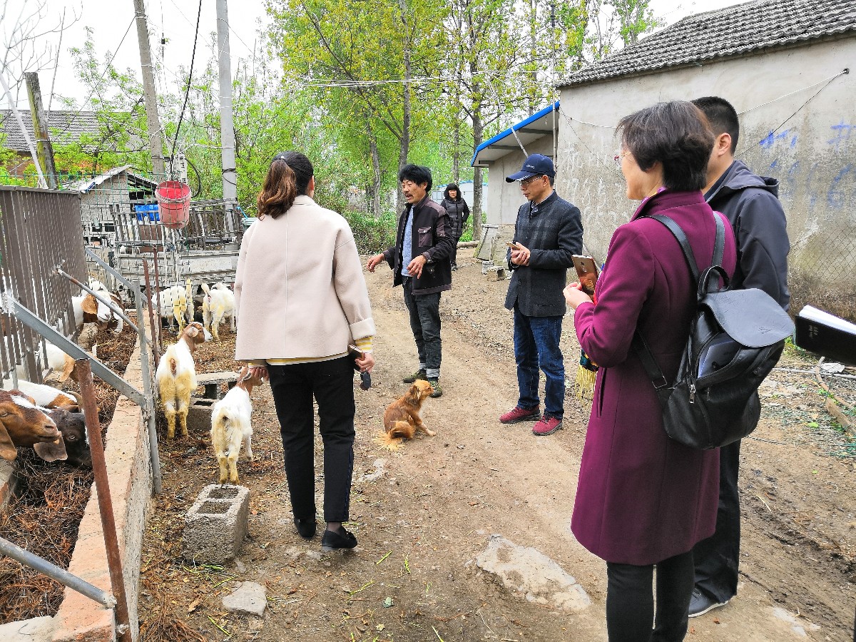 微信圖片_20190411221318.jpg